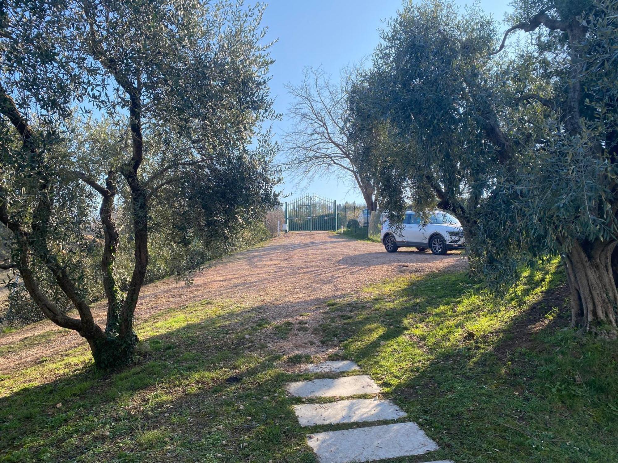 Residenza Cipressi E Olivi Διαμέρισμα Βερόνα Εξωτερικό φωτογραφία
